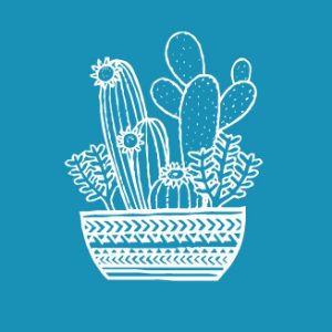 Cactus 2 - Mini Mesh