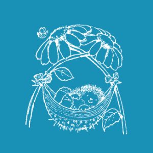 Porcupine Ride - Mini Mesh